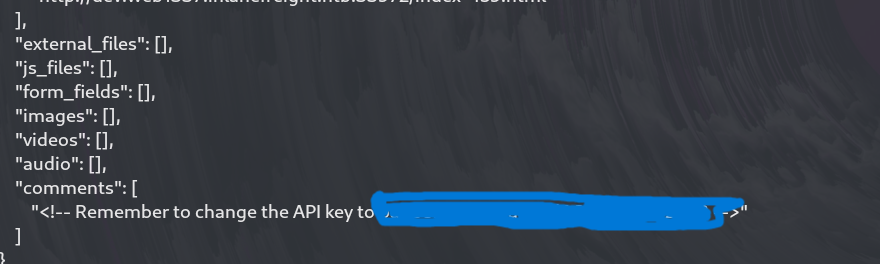 Source Code Comment with API Key